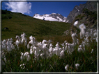 foto Colle della Crosatie